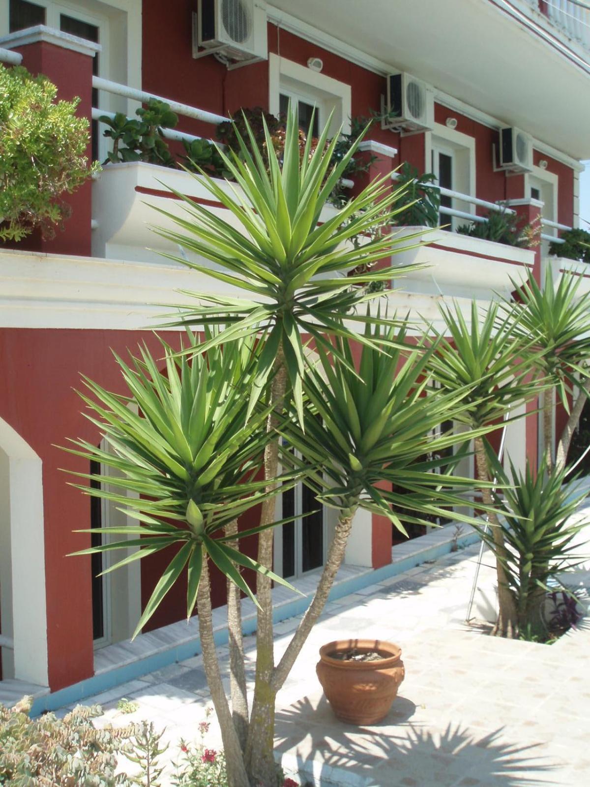 Crystal Apartment Kavos Exterior photo